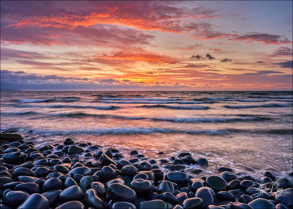 08855- Westward Ho!