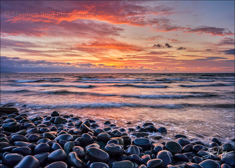 08855- Westward Ho!