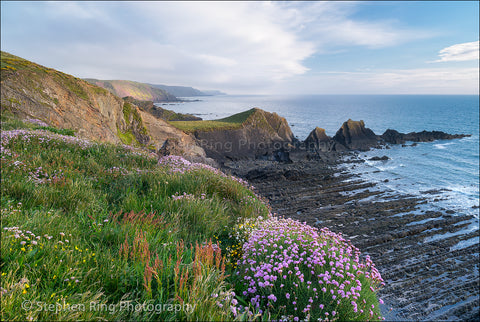 03708 - Hartland