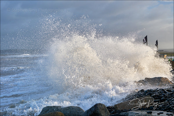 08303 -  Westward Ho!