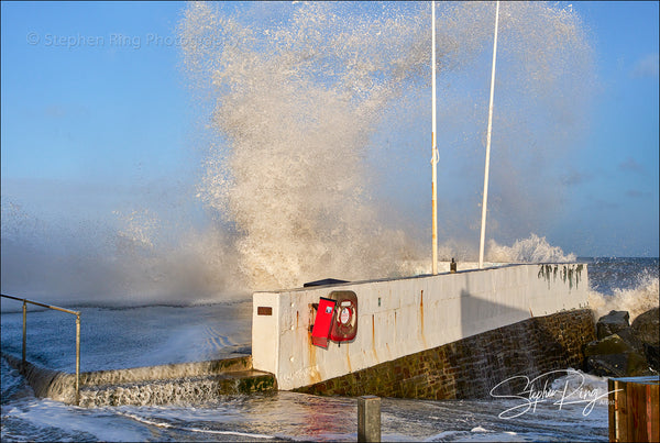 08305 -  Westward Ho!