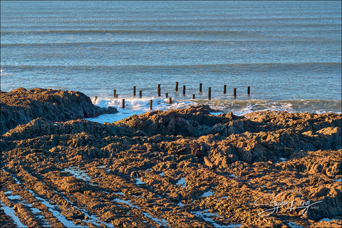 08364 -  Westward Ho!