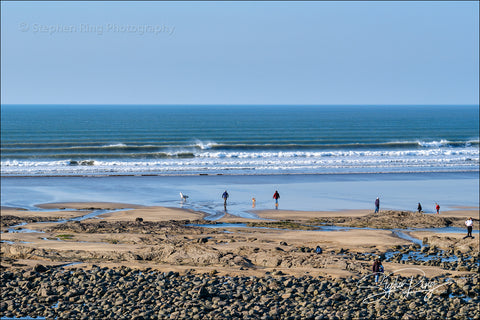 08366  -  Westward Ho!
