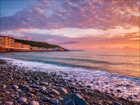 08390 -  Westward Ho!