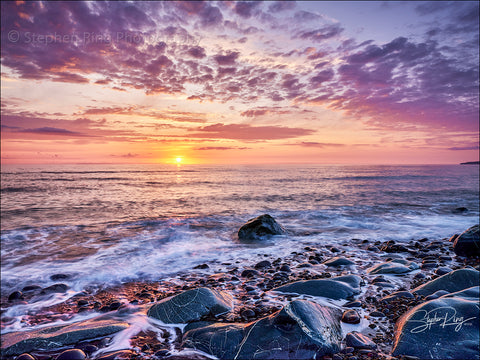 08391 -  Westward Ho!