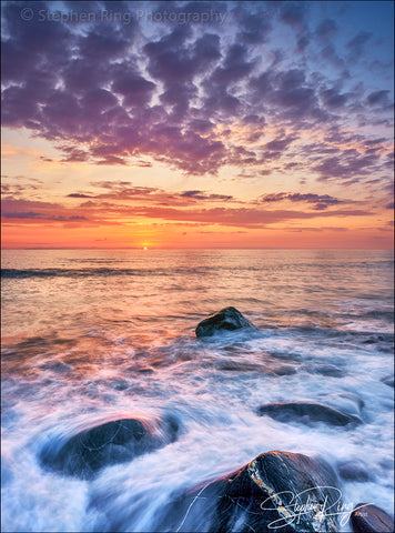 08392-  Westward Ho!