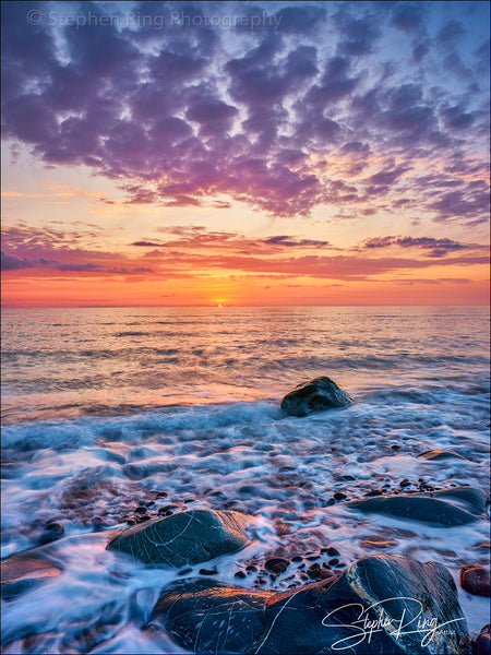 08393-  Westward Ho!