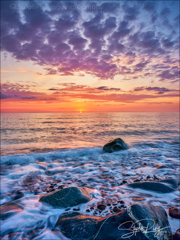 08393-  Westward Ho!