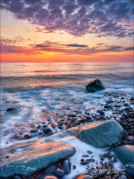 08394 -  Westward Ho!