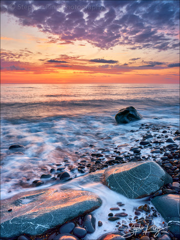 08394 -  Westward Ho!