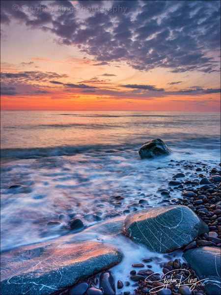 08395 -  Westward Ho!