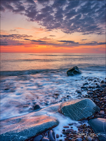 08395 -  Westward Ho!