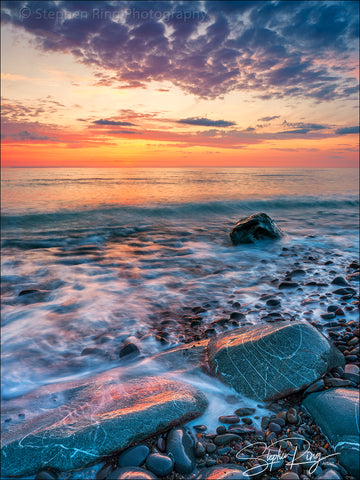 08396 -  Westward Ho!