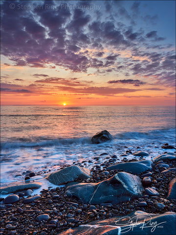 08397 -  Westward Ho!