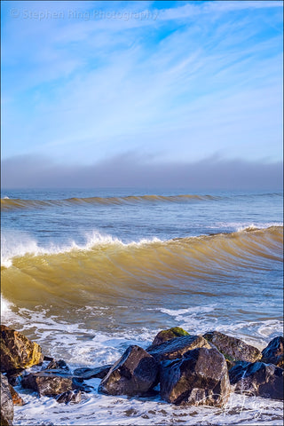 08419 - Westward Ho!