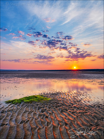 08450  - Westward Ho!