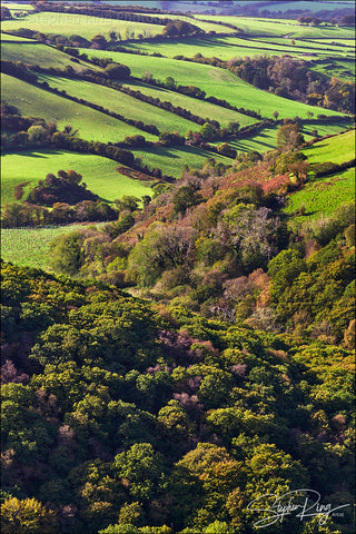 08463- Exmoor