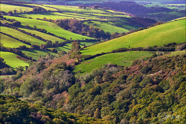 08464- Exmoor