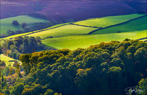 08465- Exmoor