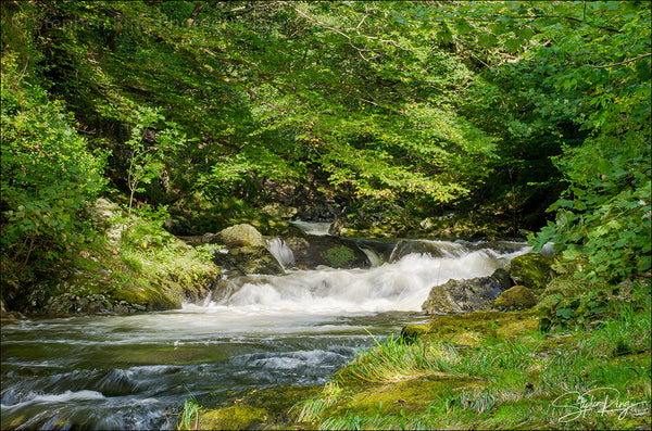 08687  - Watersmeet