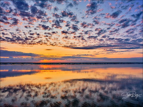 08723- Westward Ho!