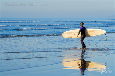08731 - Westward Ho!