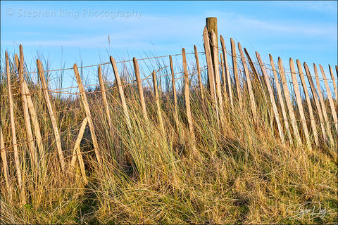 08745  - Northam Burrows