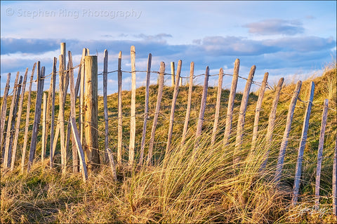 08746  - Northam Burrows