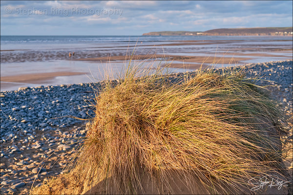 08747  - Northam Burrows