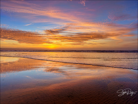 08768 - Northam Burrows