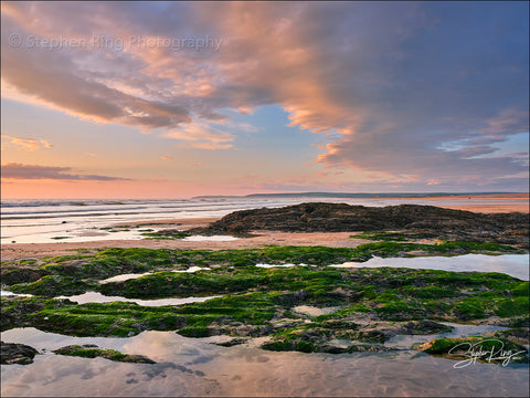 08772- Westward Ho!