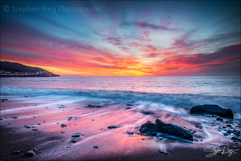08775 - Westward Ho!