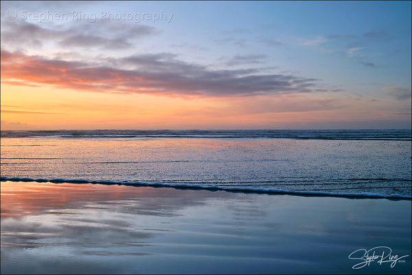 08781 - Westward Ho!