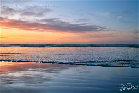 08781 - Westward Ho!