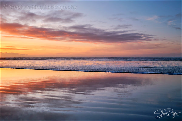 08783 - Westward Ho!