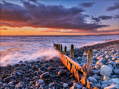 08786 - Westward Ho!