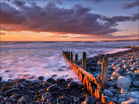 08787 - Westward Ho!