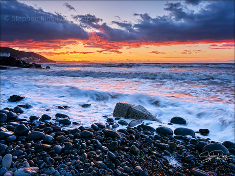 08795 - Westward Ho!
