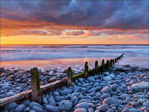 08798 - Westward Ho!