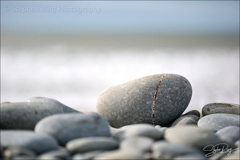 08801 - Westward Ho!
