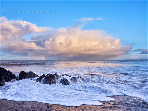 08812 - Westward Ho!
