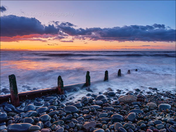 08813- Westward Ho!