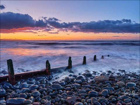 08813- Westward Ho!