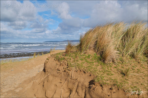 08816 - Northam Burrows