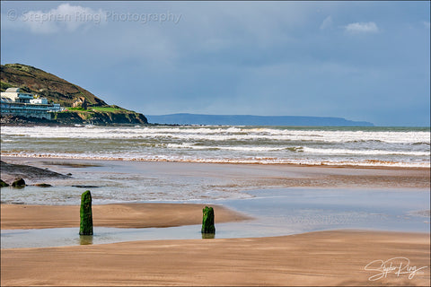 08818- Westward Ho!
