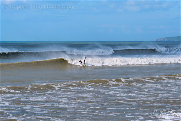 08822- Westward Ho!