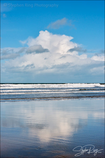 08825- Westward Ho!