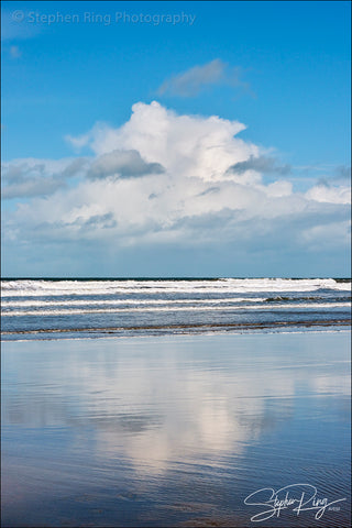 08825- Westward Ho!
