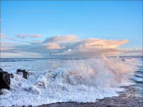 08826- Westward Ho!