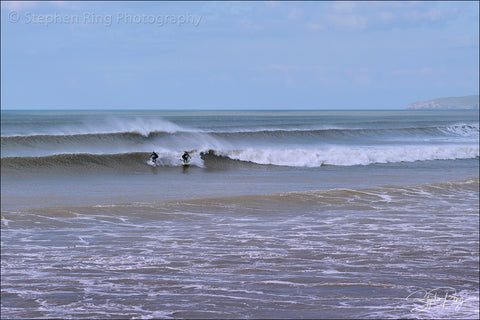 08828- Westward Ho!